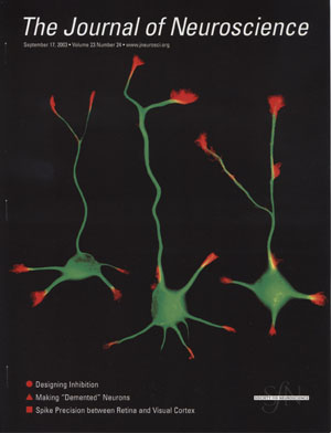 Journal of Neuroscience Cover